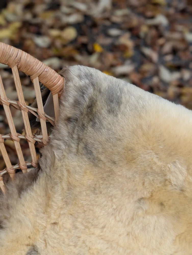 A cream-colored medical sheepskin rug with natural gray patches and plush texture beside a wicker chair naturally spotted