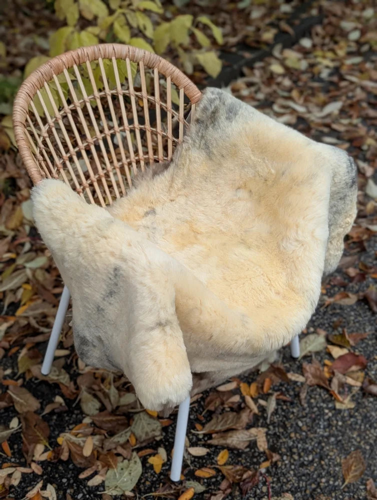 Cream-colored naturally spotted medical sheepskin throw draped over wicker chair washable medical sheepskins