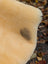Cream-colored washable medical sheepskin size medium with a dark naturally spotted stain on the shoulder