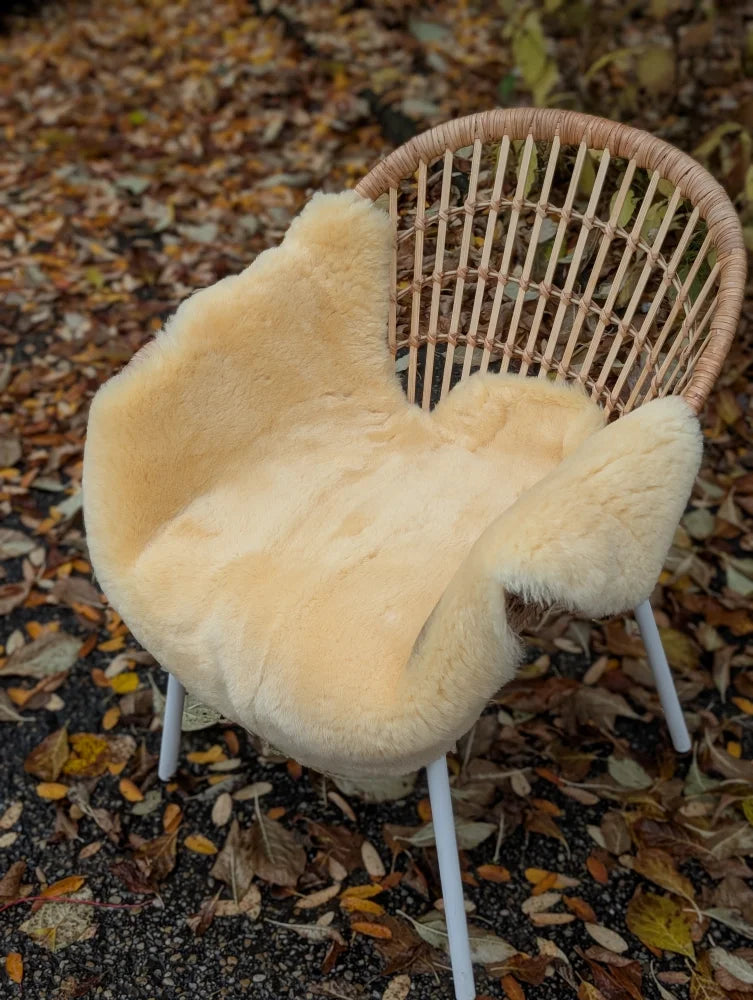 Cream-colored naturally spotted medical sheepskins draped over a woven wicker chair in size medium 40.5 x 29 inches