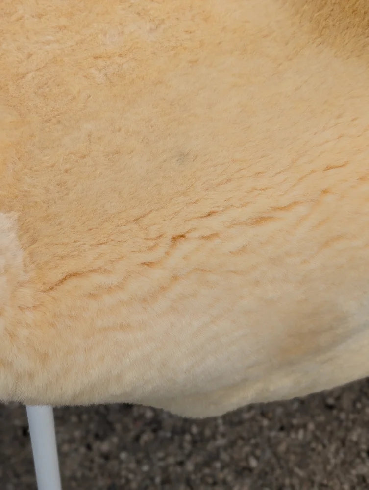 A soft creamy beige medical sheepskin blanket with plush textured surface perfect for medical sheepskins use