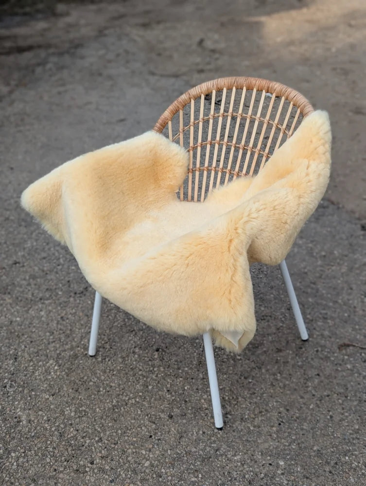 A soft creamy beige extra large washable medical sheepskin draped over a modern rattan chair with white metal legs