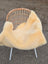 Cream-colored extra large washable medical sheepskin draped over woven rattan chair with white metal legs naturally spotted
