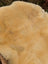 A soft creamy beige washable medical sheepskin with plush natural fur texture naturally spotted for medical use