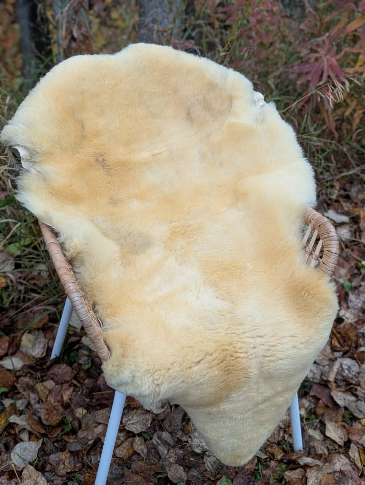 Cream-colored naturally spotted medical sheepskins draped over a wicker chair washable 48 x 29 rug