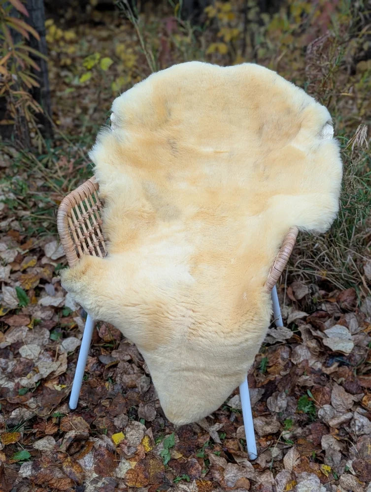 Cream-colored medical sheepskin naturally spotted draped over a wicker chair with white metal legs for comfort