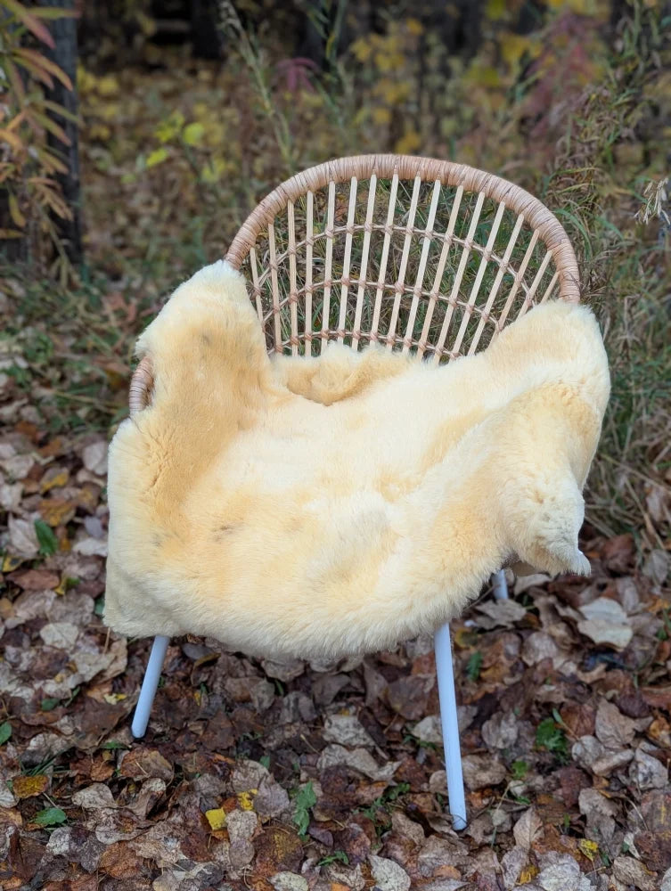 A cozy cream-colored naturally spotted medical sheepskin blanket draped over a wicker chair with blue metal legs