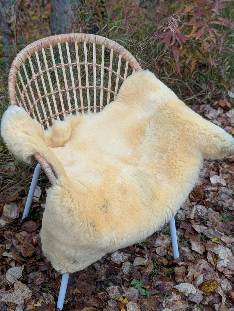 Cream-colored medical sheepskin rug naturally spotted draped over wicker chair washable and soft medical sheepskins