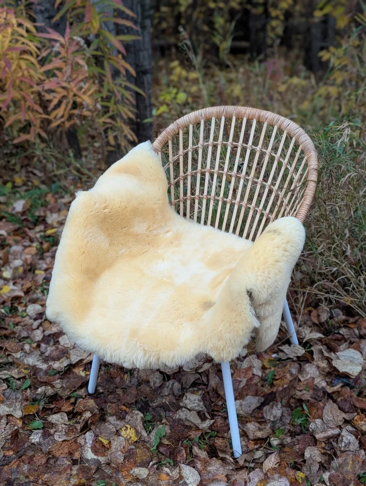 A cozy cream-colored washable medical sheepskin naturally spotted draped over a wicker chair with white metal legs