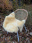 Cream-colored naturally spotted medical sheepskin blanket draped over wicker chair washable medical sheepskins