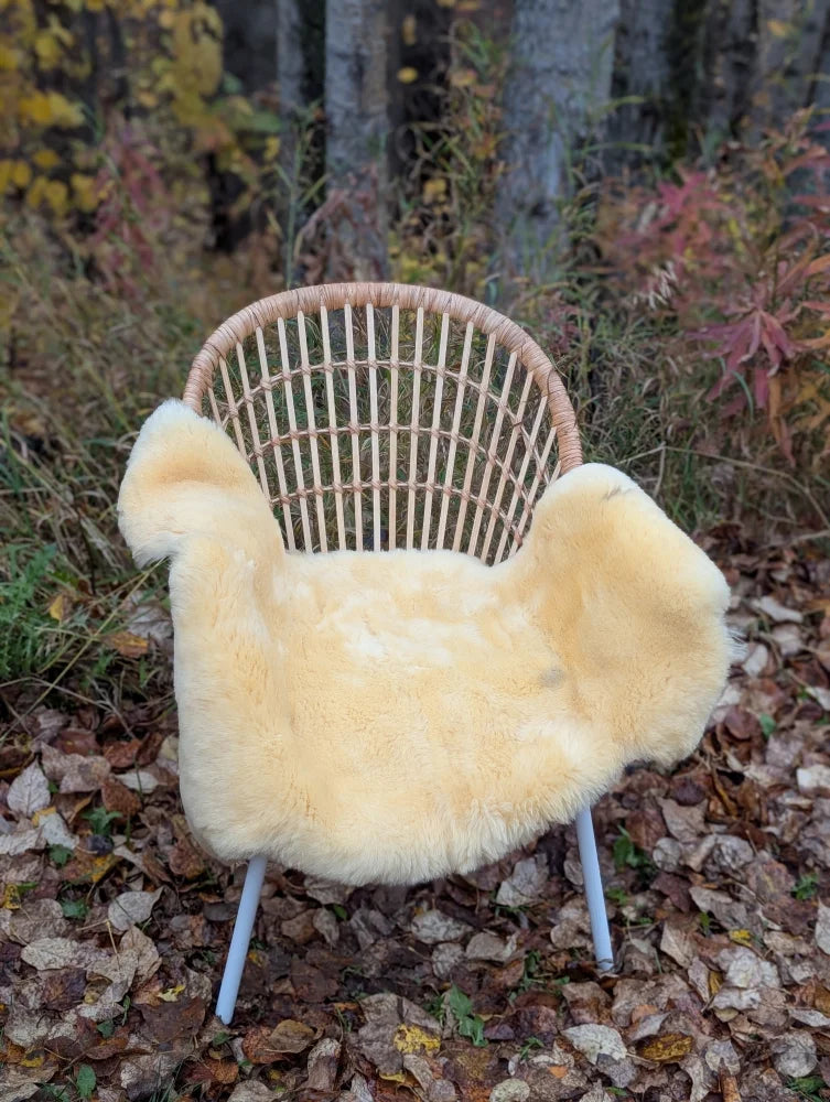 Cozy cream-colored washable medical sheepskin cover naturally spotted draped over wicker chair with blue legs