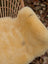 A soft creamy yellow medical sheepskin naturally spotted rug on a woven wicker chair in washable material