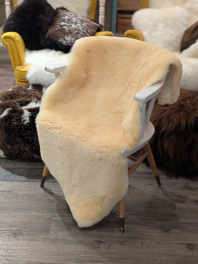 Cream-colored extra large medical sheepskin blanket draped over white chair by angus oliver in sheepskin material