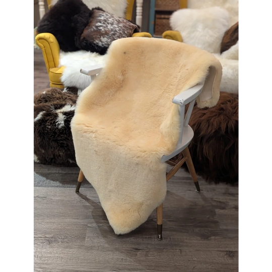 Cream-colored extra large medical sheepskin blanket draped over white chair by angus oliver in sheepskin material