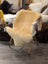 Cream-colored extra large medical sheepskin throw draped over white wooden chair by angus oliver