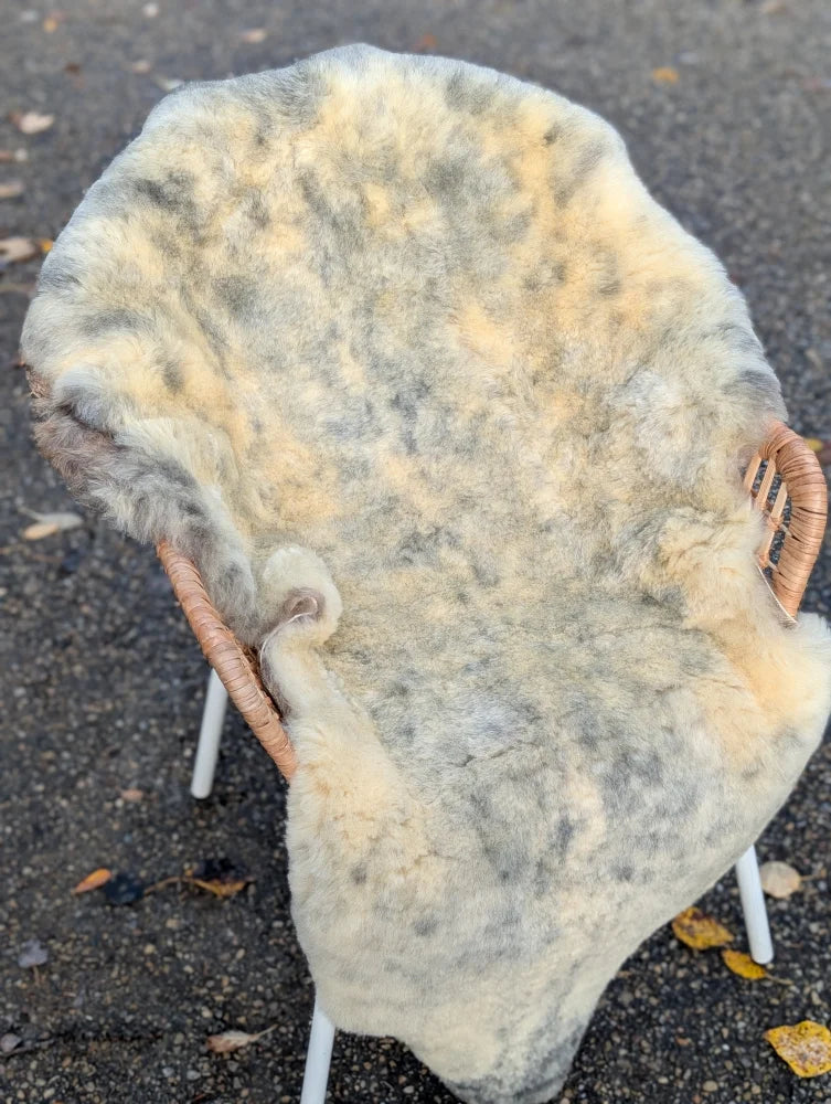 A cozy massive washable medical sheepskin with a naturally spotted gray and cream pattern on a wicker chair