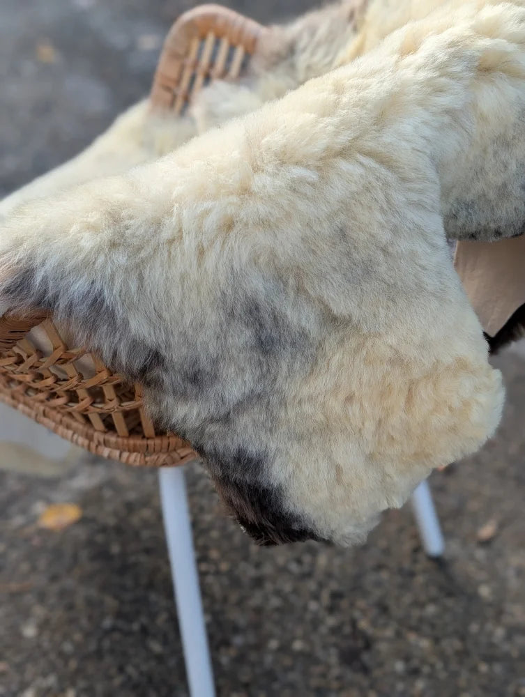 A soft cream and gray naturally spotted medical sheepskin rug draped over a wicker chair for medical use