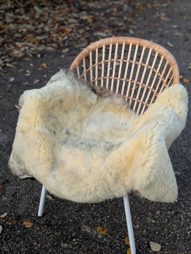 A cozy cream-colored naturally spotted medical sheepskin blanket draped over a wicker chair with white metal legs