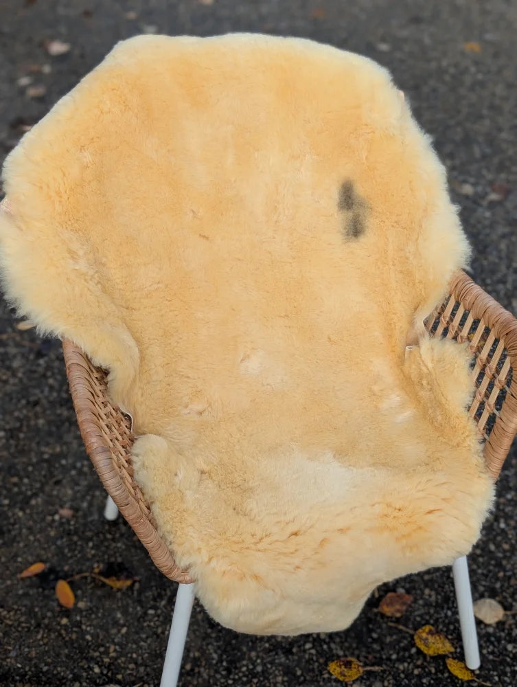 Cream-colored naturally spotted washable medical sheepskin rug draped over wicker chair for comfort and support