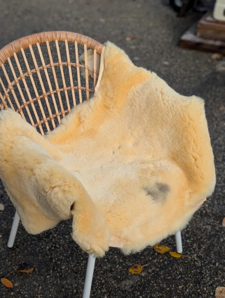 A soft pale yellow naturally spotted medical sheepskin blanket draped over a wicker chair with white metal legs