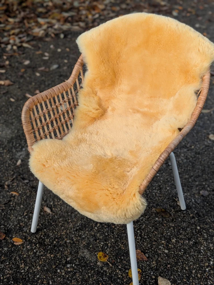 A cozy golden medical sheepskin blanket from angus oliver draped over a wicker chair with white metal legs british sheepskins