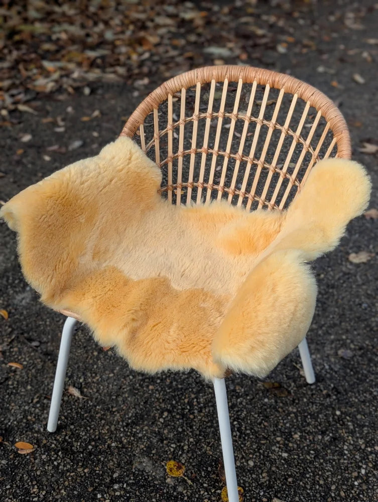 A cozy light golden washable medical sheepskin draped over a woven wicker chair by angus oliver british sheepskins