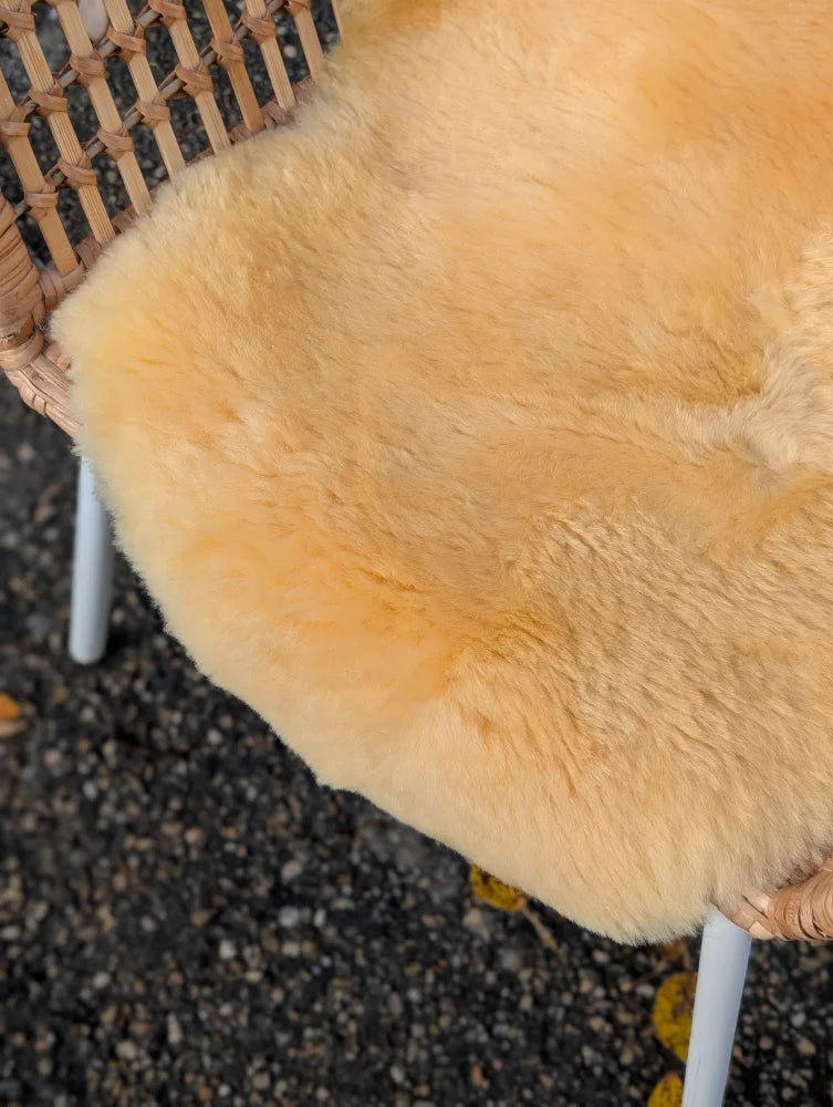 Soft golden medical sheepskin chair pad on woven wicker frame from angus oliver medical sheepskins collection
