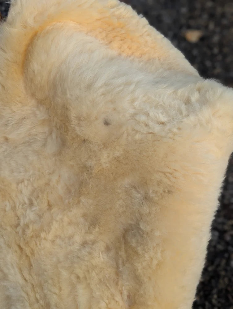 Cream-colored plush medical sheepskin with soft curly texture naturally spotted 49 by 33 washable medium