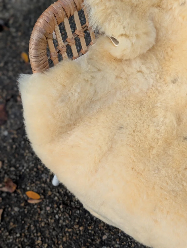Cream-colored medical sheepskin rug naturally spotted draped over a woven wicker chair 49 x 33 washable