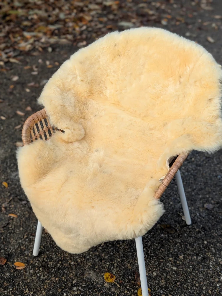 Cream-colored naturally spotted medical sheepskin rug draped over wicker chair with white metal legs washable and 49 by 33 inches