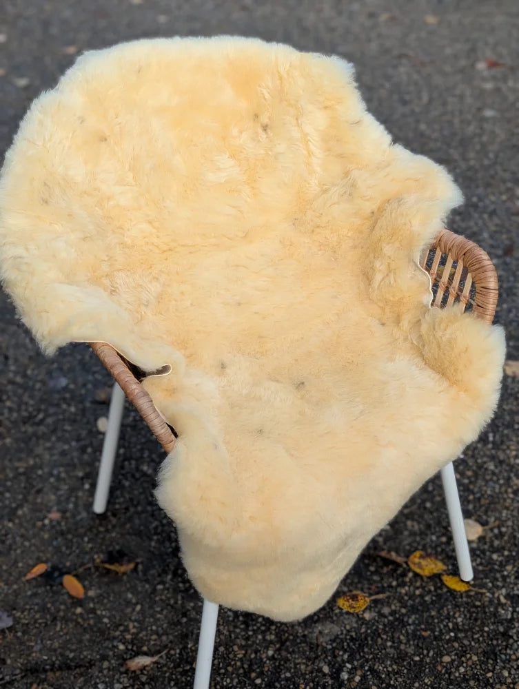 Cream-colored naturally spotted medical sheepskin blanket draped over wicker chair with white metal legs