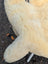 Cream-colored plush teddy bear with soft fluffy fur on 49 x 33 washable naturally spotted medical sheepskin