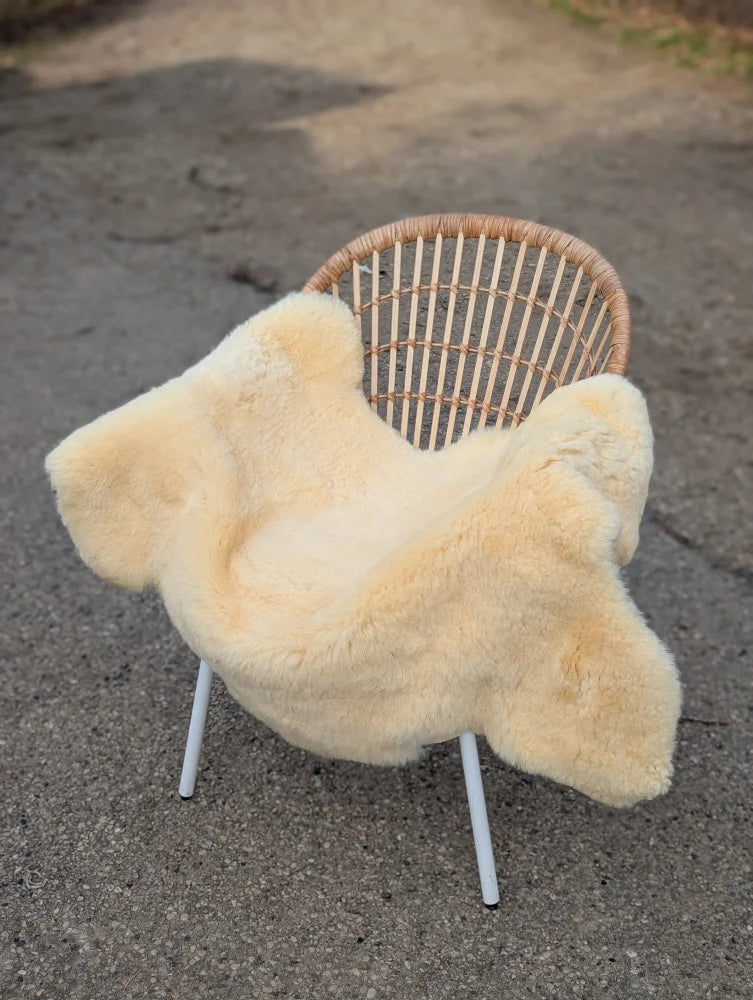 Cream-colored extra large washable medical sheepskin throw draped over woven rattan chair with white metal legs