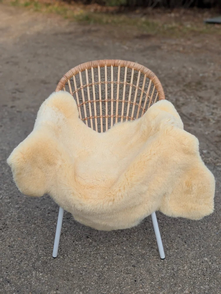 Cream-colored medical sheepskin rug draped over wicker chair extra large washable naturally spotted medical sheepskins