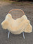 Cream-colored medical sheepskin rug draped over wicker chair extra large washable naturally spotted medical sheepskins