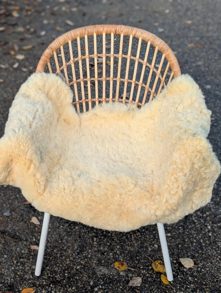 A cozy cream-colored naturally spotted medical sheepskin blanket draped over a woven rattan chair with white metal legs