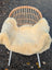 A cozy cream-colored naturally spotted medical sheepskin blanket draped over a woven rattan chair with white metal legs