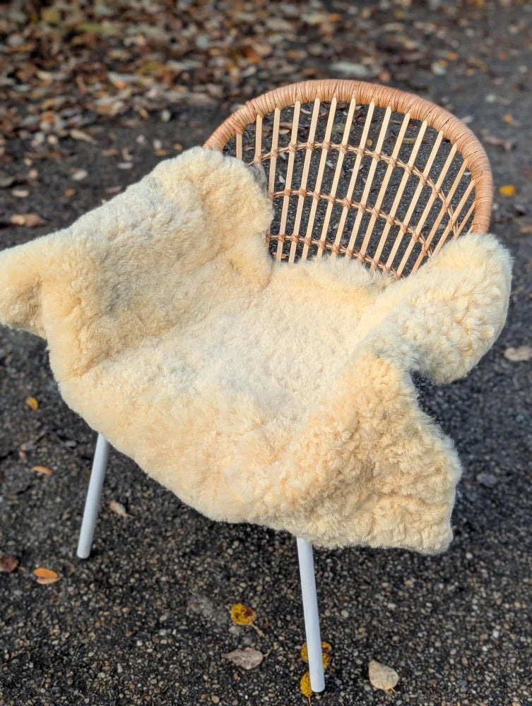 Cream-colored medical sheepskin blanket naturally spotted draped over woven wicker chair with white metal legs