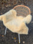 Cream-colored medical sheepskin blanket naturally spotted draped over woven wicker chair with white metal legs
