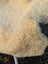 Cream-colored plush medical sheepskin with soft curly texture naturally spotted and washable for medical use