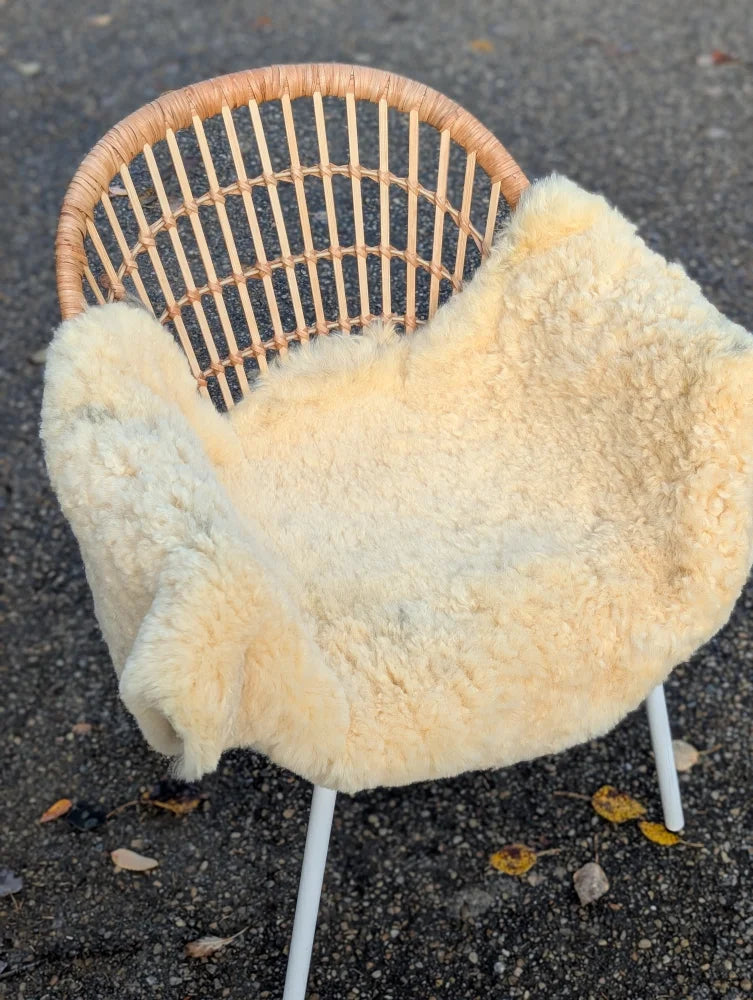 Cream-colored naturally spotted medical sheepskin blanket draped over wicker chair washable and soft