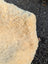 Cream-colored curly medical sheepskin rug with soft plush texture naturally spotted and washable 47 by 29 inches