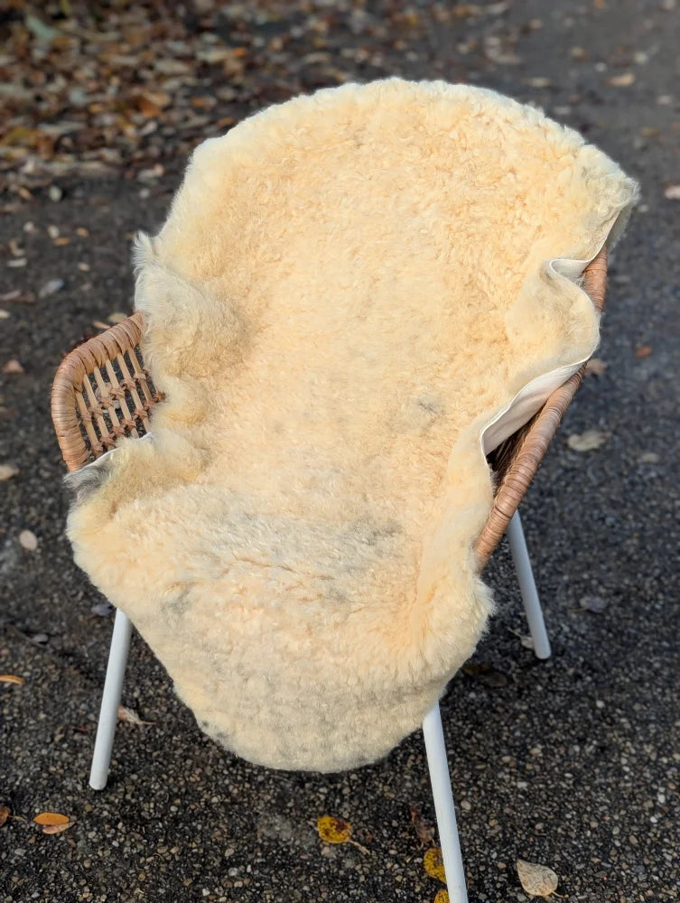 Cream-colored washable medical sheepskin rug naturally spotted draped over wicker chair for comfort and care