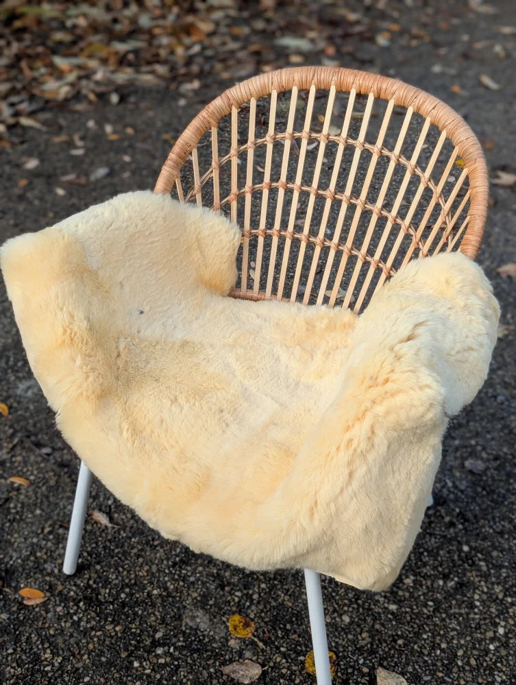 Cream-colored naturally spotted medical sheepskin throw draped over woven wicker chair with white metal legs