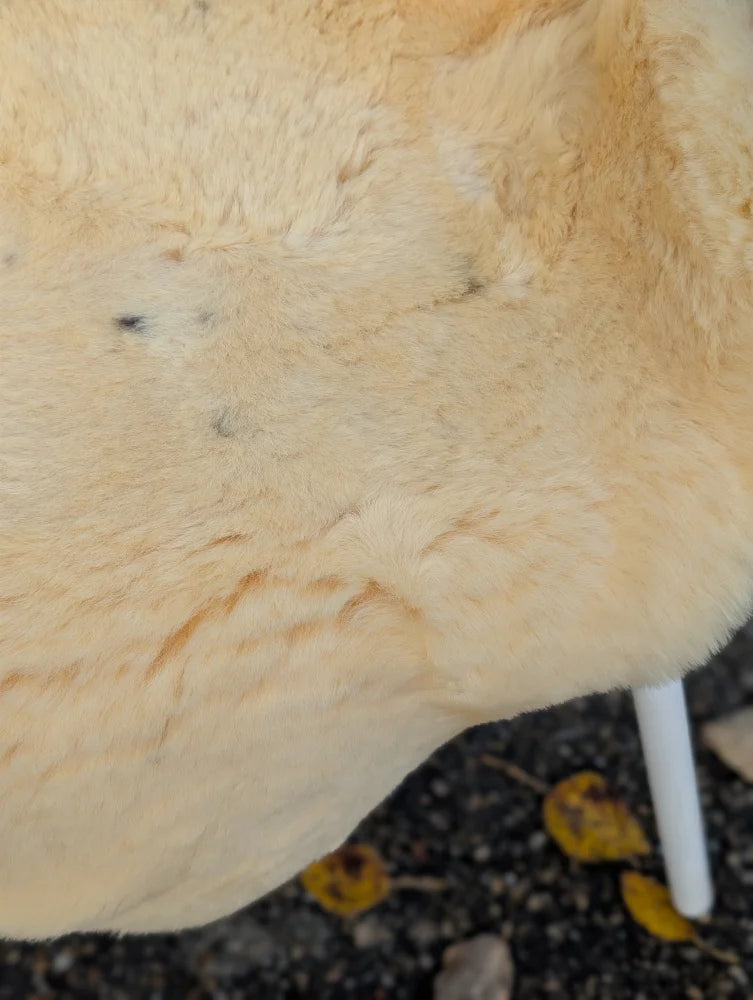 Cream-colored medical sheepskin rug with soft plush texture and naturally spotted washable faux fur material