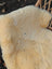 Cream-colored natural fur pile medical sheepskin rug 45 x 29 washable and naturally spotted for comfort