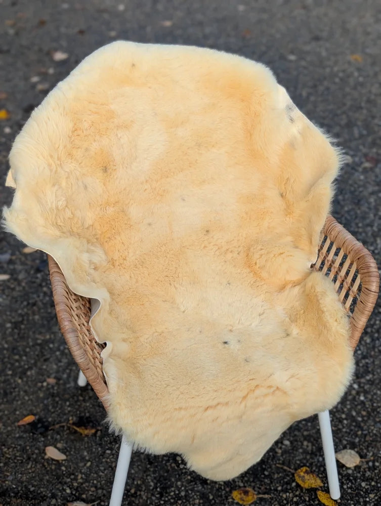 Cream-colored naturally spotted medical sheepskin rug draped over wicker chair 45 by 29 washable medical sheepskins