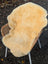 Cream-colored naturally spotted medical sheepskin rug draped over wicker chair washable and soft medical sheepskins