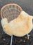 A cozy cream-colored washable medical sheepskin naturally spotted draped over a wicker armchair with white metal legs
