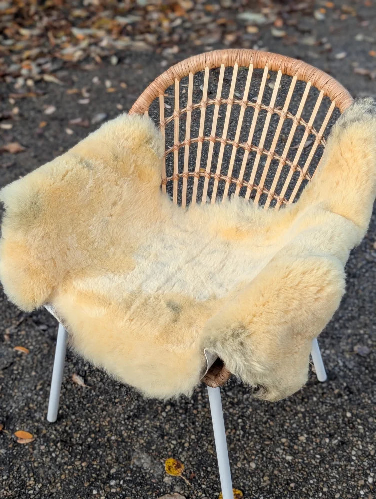 Cream-colored naturally spotted medical sheepskin rug draped over a woven wicker chair washable and soft